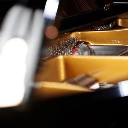 Close-up of a piano's inner strings and hammers.