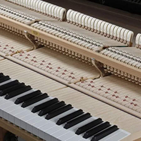 Close-up of piano keys and internal hammers in detail.