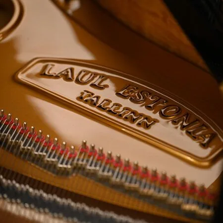 Close-up of a LAOLIN piano logo on piano strings.
