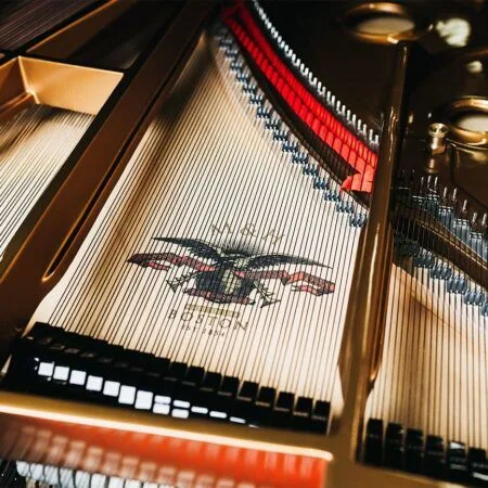 Close-up of a grand piano's strings and logo inside the body.