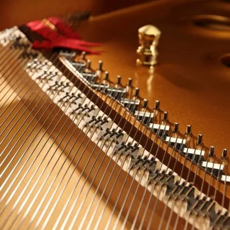 Close-up of piano strings and tuning pins inside the instrument.