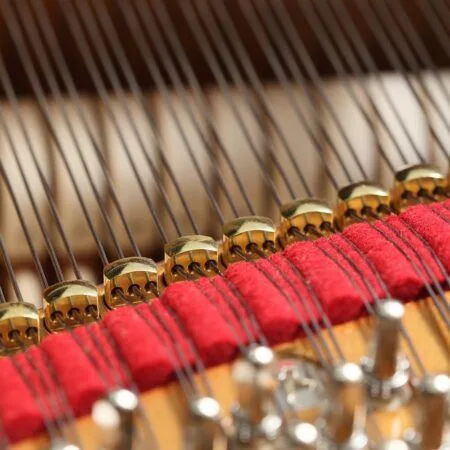 Close-up of piano strings and tuning pins with red felt dampers.