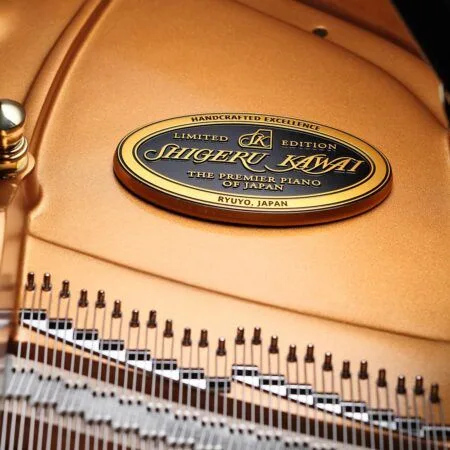 Close-up of a Steinway & Sons piano interior with strings and label.