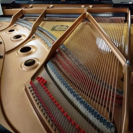 Close-up of piano strings and tuning pins inside an open grand piano.