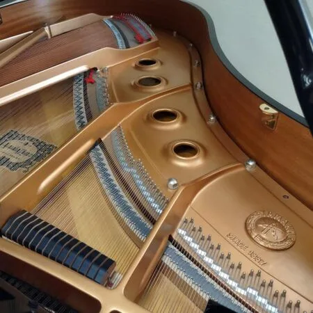 Close-up of a grand piano's strings and internal wooden frame.