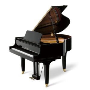 Elegant black grand piano with open lid and gold accents.