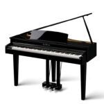 Kawai DG-30