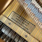 2001 Steinway Model M Louis XIV Edition - Image 5
