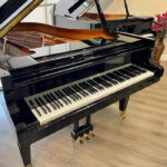 1998 Schimmel 208