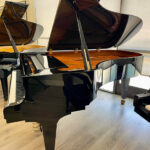 1998 Schimmel 208 - Image 5