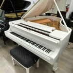 1925 Steinway & Sons Model M