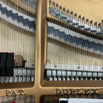 1925 Steinway & Sons Model M - Image 6