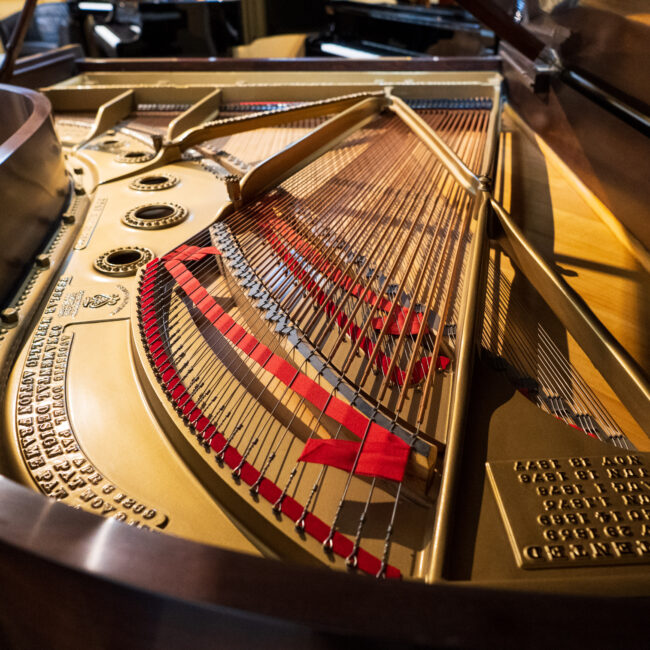 1883 Steinway & Sons Model B Victorian Art Case Grand Piano Rosewood Satin - Image 12