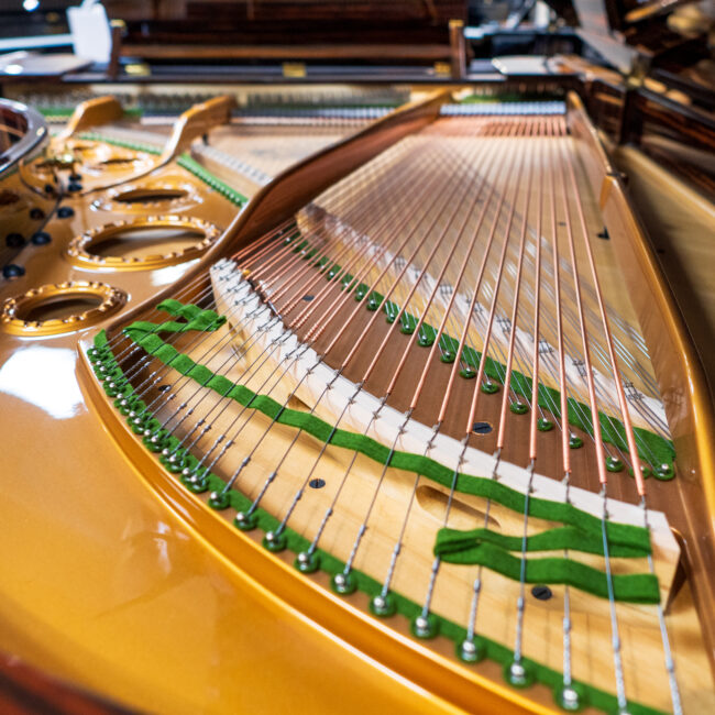 C. Bechstein Grand Piano Macassar Wood Finish Premium Restoration - Image 8