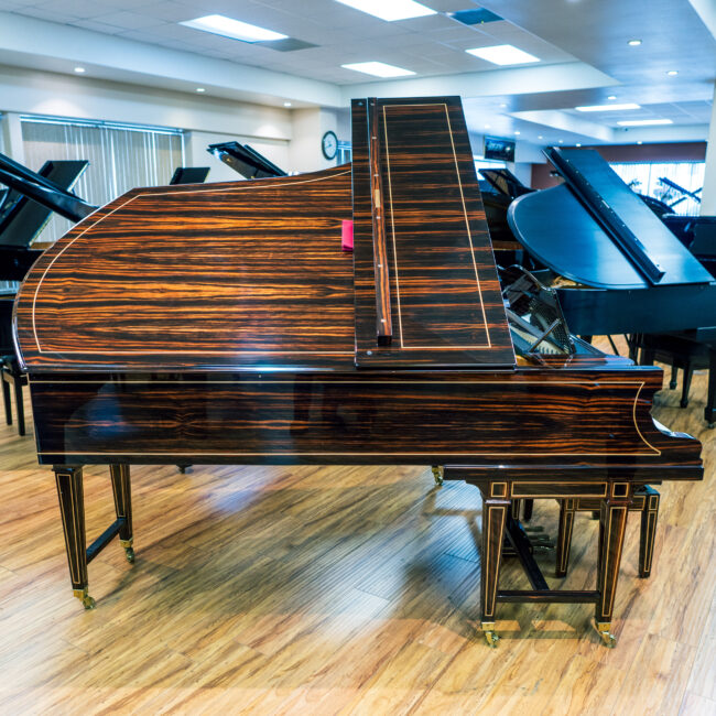 C. Bechstein Grand Piano Macassar Wood Finish Premium Restoration - Image 10