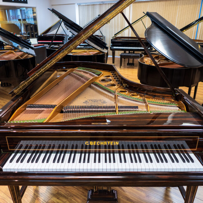 C. Bechstein Grand Piano Macassar Wood Finish Premium Restoration - Image 4