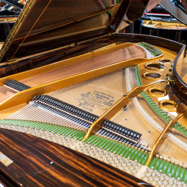 C. Bechstein Grand Piano Macassar Wood Finish Premium Restoration - Image 5