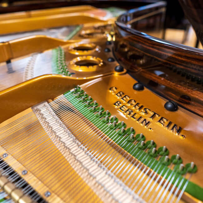 C. Bechstein Grand Piano Macassar Wood Finish Premium Restoration - Image 7