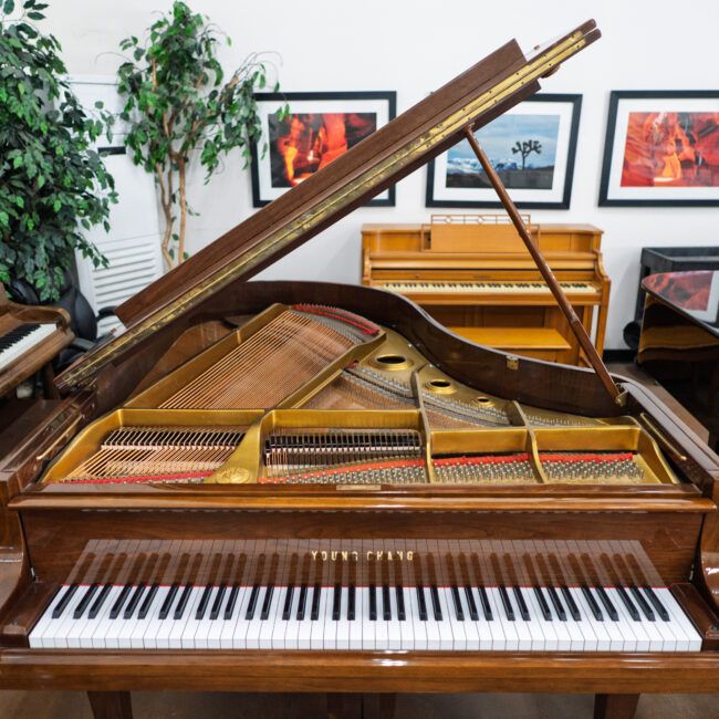 Young Chang G-185 Grand Piano Walnut Polish - Image 4