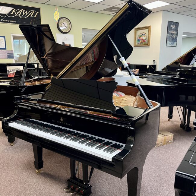 1929 Steinway & Sons Model M Studio Grand Piano Ebony Polish - Image 3