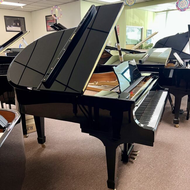 1929 Steinway & Sons Model M Studio Grand Piano Ebony Polish - Image 7