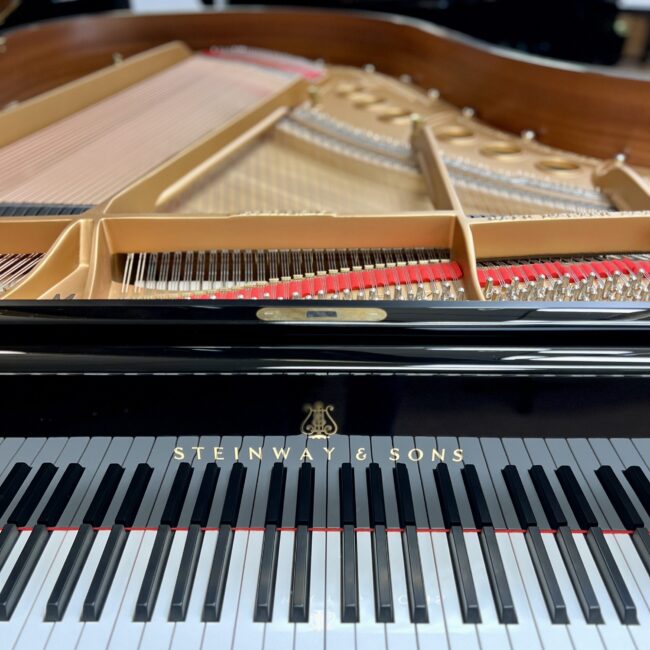 1929 Steinway & Sons Model M Studio Grand Piano Ebony Polish - Image 2