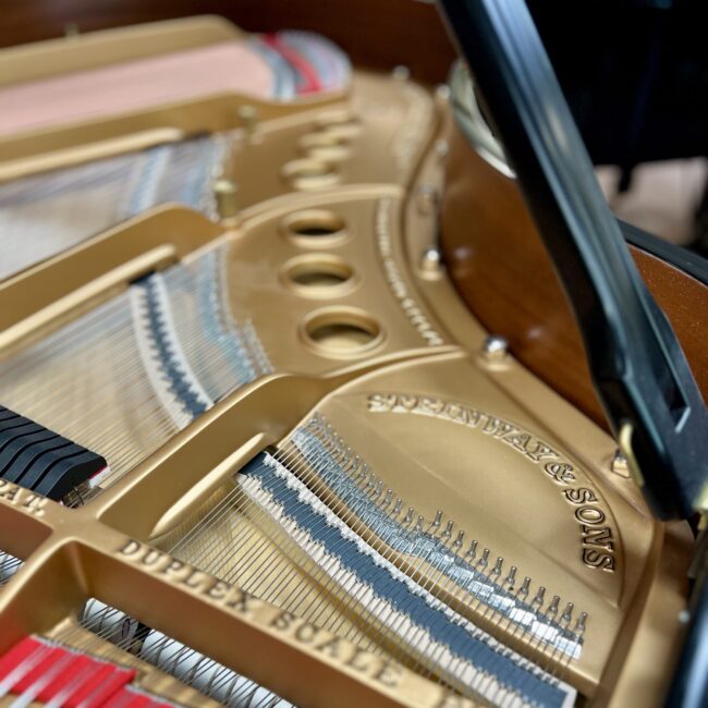 1929 Steinway & Sons Model M Studio Grand Piano Ebony Polish - Image 4