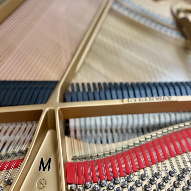 1929 Steinway & Sons Model M Studio Grand Piano Ebony Polish - Image 5