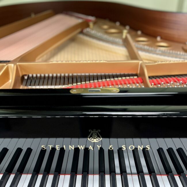 1912 Steinway & Sons Model O Grand Piano Ebony Polish - Image 4