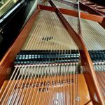 1971 Bösendorfer Model 275 Concert Grand Piano Ebony Polish - Image 8