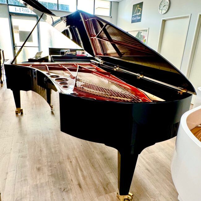 1971 Bösendorfer Model 275 Concert Grand Piano Ebony Polish - Image 13