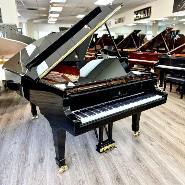 1911 Steinway & Sons Model B Semi-Concert Grand Piano Ebony Polish *Newly Refurbished* - Image 3