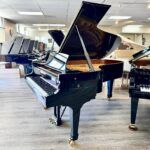 1911 Steinway & Sons Model B Semi-Concert Grand Piano Ebony Polish *Newly Refurbished* - Image 2