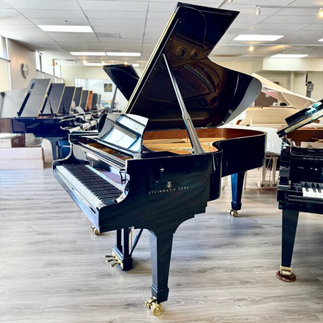 1911 Steinway & Sons Model B Semi-Concert Grand Piano Ebony Polish *Newly Refurbished* - Image 2