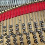 1911 Steinway & Sons Model B Semi-Concert Grand Piano Ebony Polish *Newly Refurbished* - Image 5