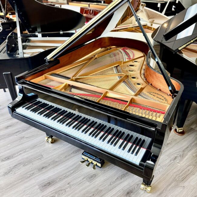 1911 Steinway & Sons Model B Semi-Concert Grand Piano Ebony Polish *Newly Refurbished* - Image 4