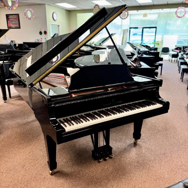 1928 Steinway & Sons Model B Semi-Concert Grand Piano Ebony Polish - Image 3