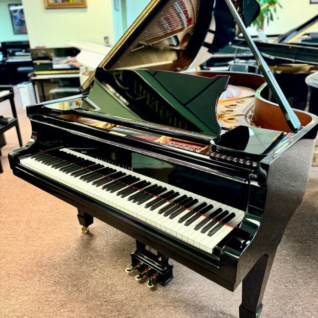 1928 Steinway & Sons Model B Semi-Concert Grand Piano Ebony Polish - Image 2