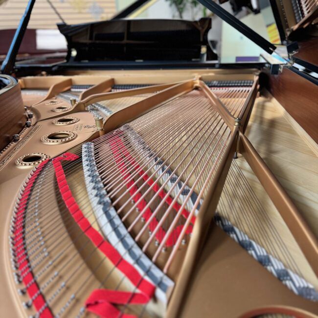 1928 Steinway & Sons Model B Semi-Concert Grand Piano Ebony Polish - Image 4