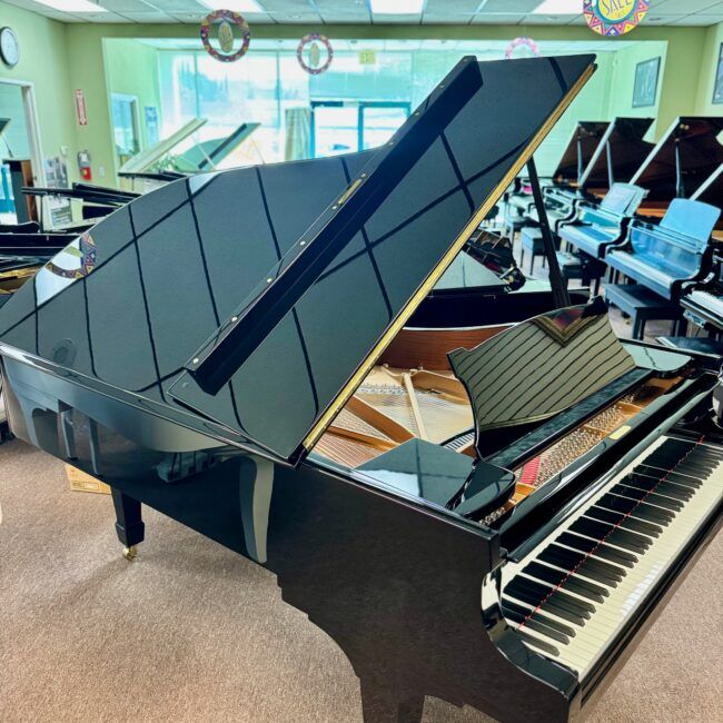 1928 Steinway & Sons Model B Semi-Concert Grand Piano Ebony Polish - Image 5