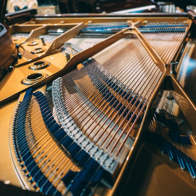 C. Bechstein Concert A 192 Grand Piano Walnut Polish - Image 7