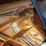1972 Steinway & Sons Model D Concert Grand Piano Ebony Polish - Image 9