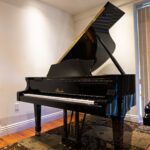 Haessler by Blüthner 186 Grand Piano Ebony Polish