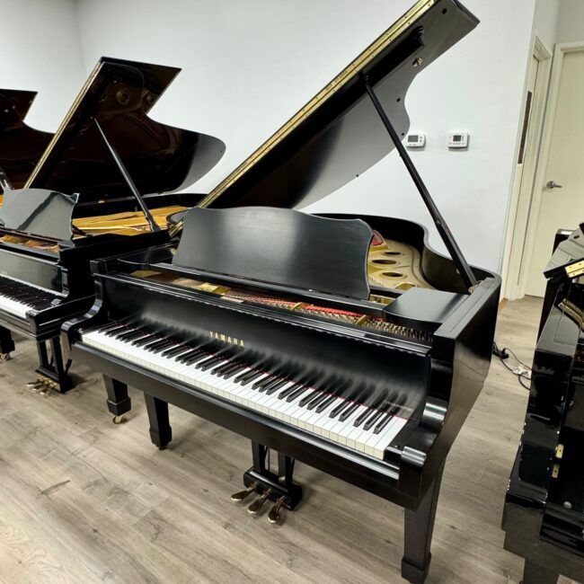 Yamaha C3 Grand Piano w/ Ebony Satin Finish - Image 2
