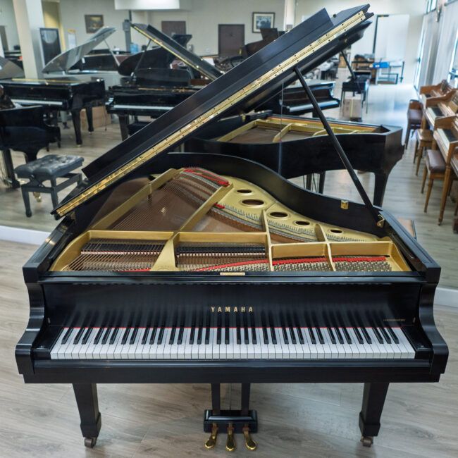 Yamaha C3 Conservatory Grand Piano Piano Ebony Satin - Image 2
