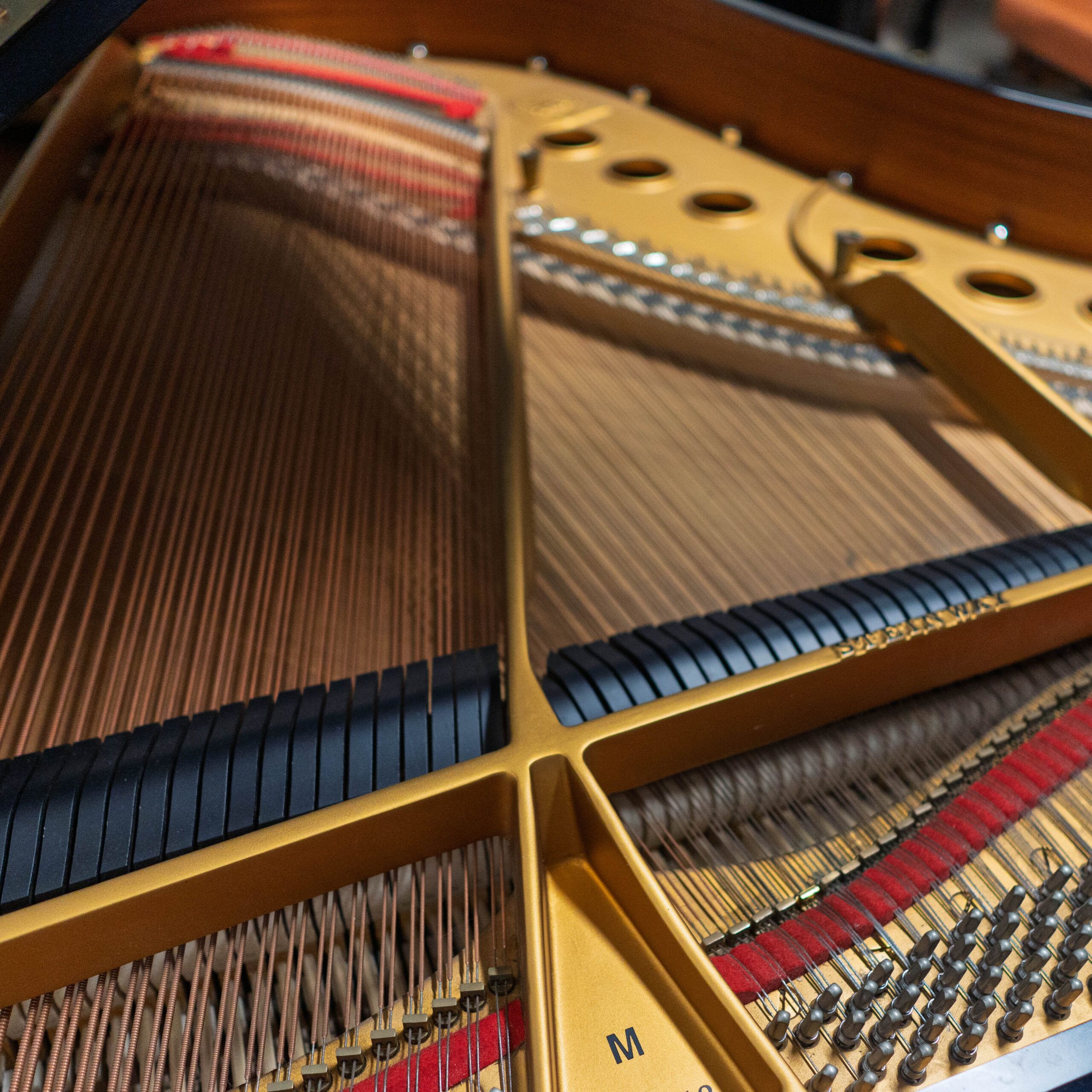 Close-up of piano strings and tuning pins inside a grand piano.