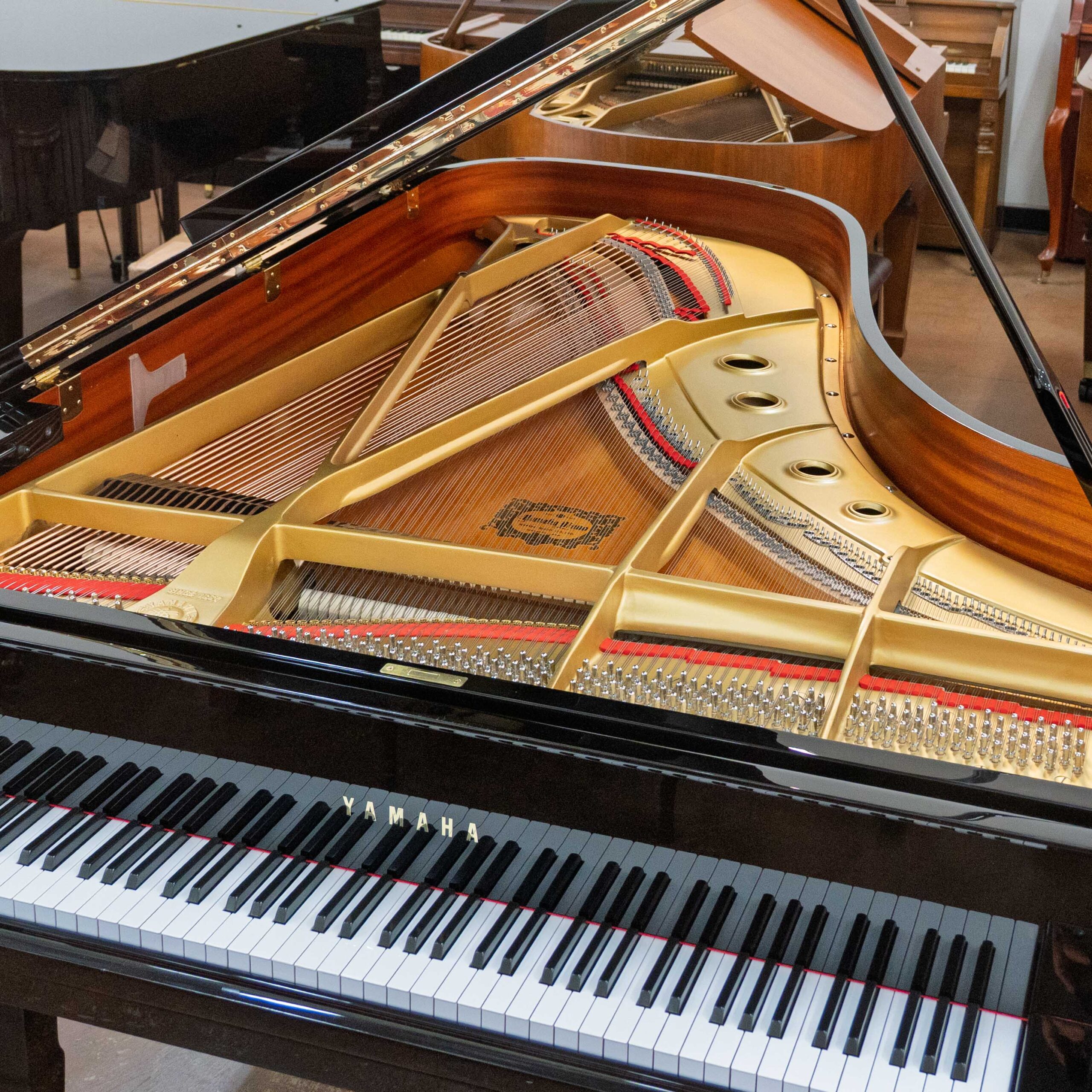 Yamaha C7 Conservatory Grand Piano Black Polish - Image 2