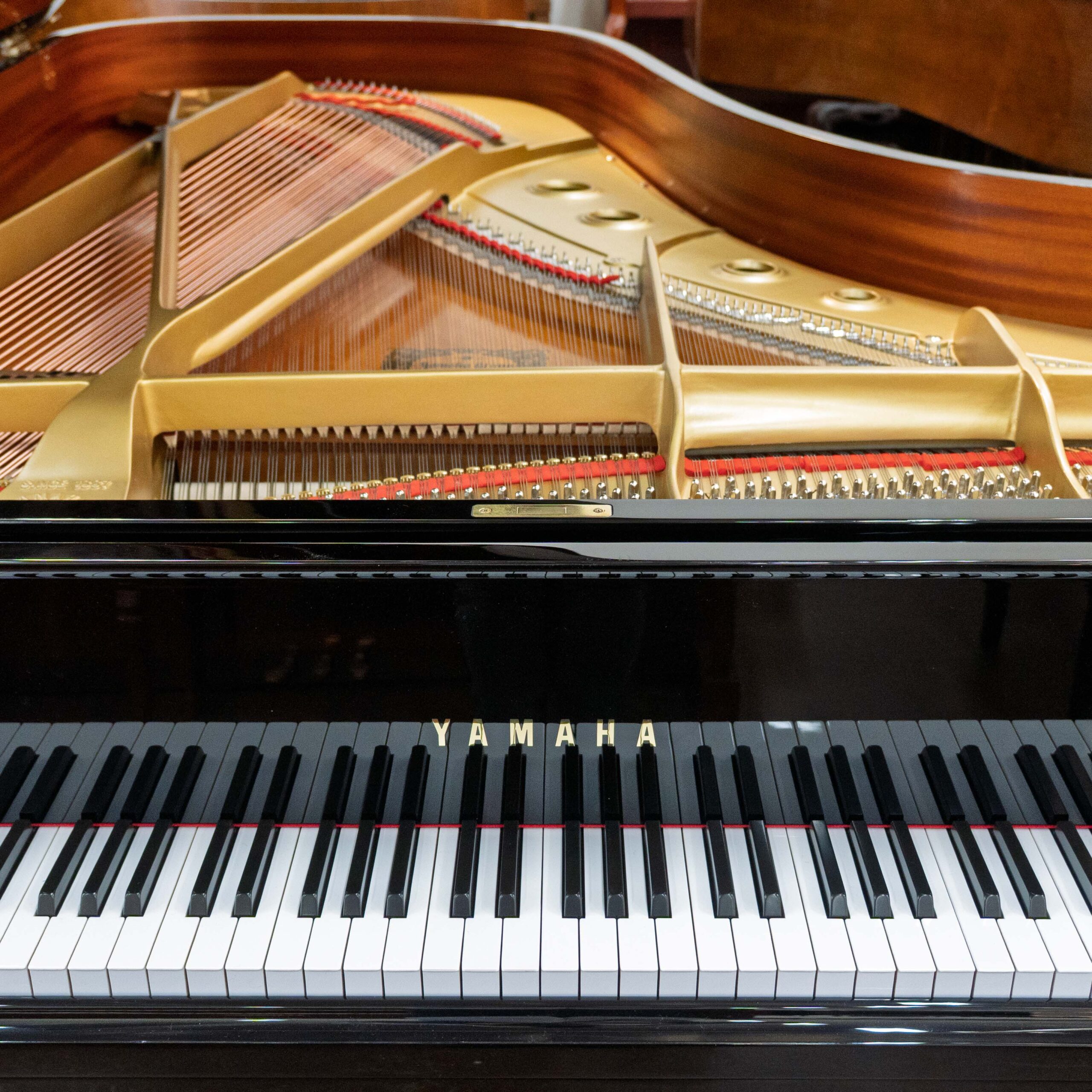 Yamaha C7 Conservatory Grand Piano Black Polish - Image 5