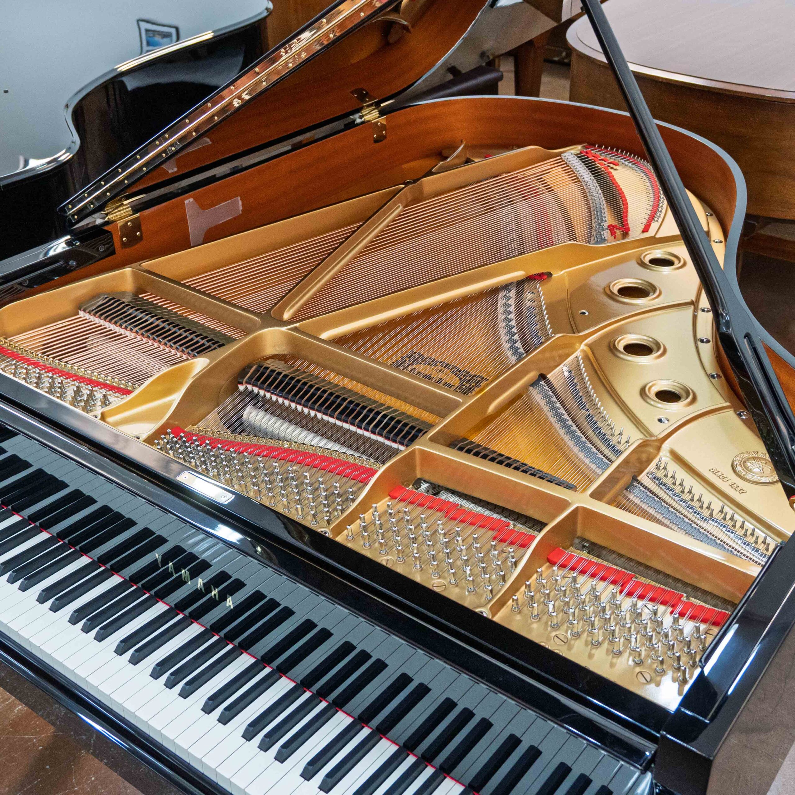 Yamaha C3 Conservatory Grand Piano Black Polish - Image 4