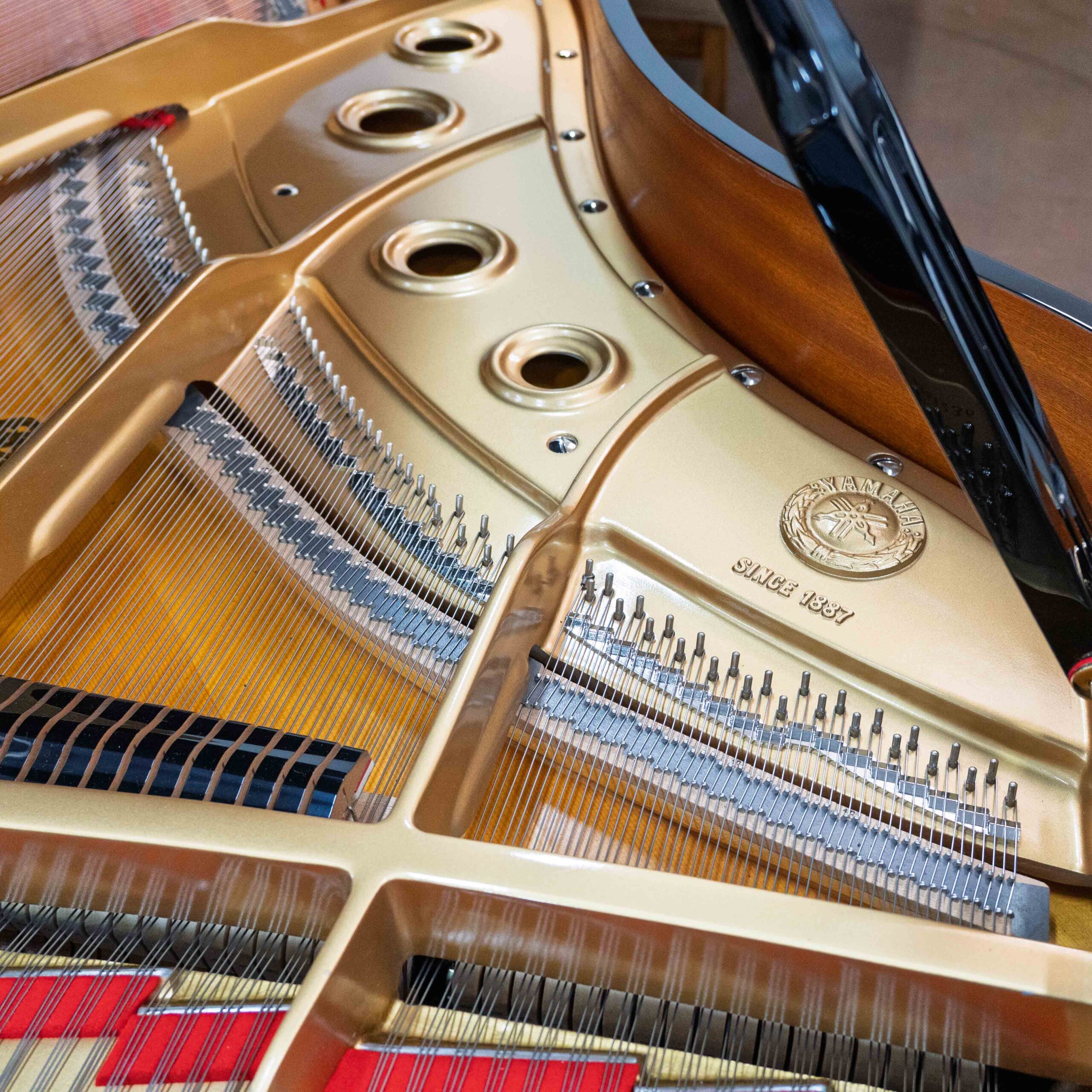 Yamaha C3 Conservatory Grand Piano Black Polish - Image 6